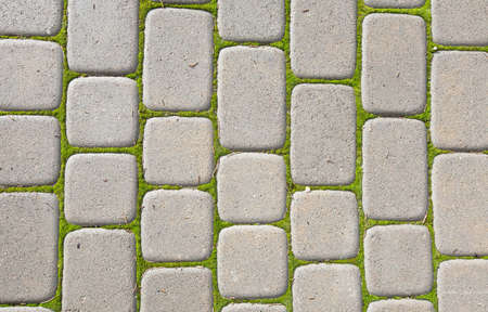 Pedestrian Walkway  Sidewalk paving  brickの写真素材
