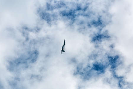 War jet plane among cloudscape. Russian military jet plane showing aerobatics in time of military aviashowの写真素材
