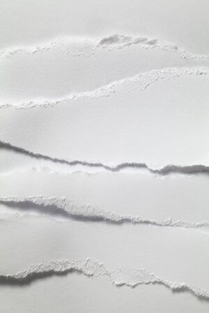 white paper torn off  background