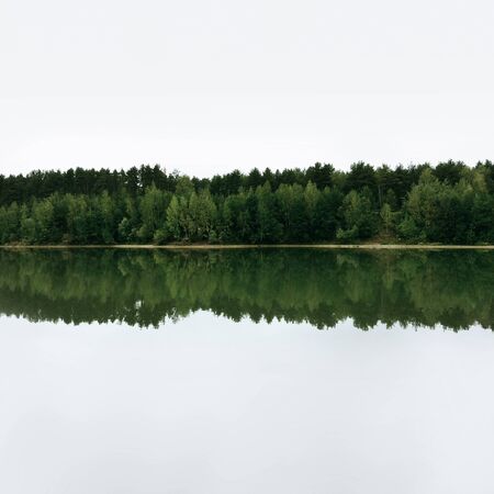 forests reflections in the lake water,green trees reflection in the waterの写真素材