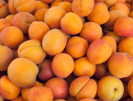 Apricot fruits, Apricot background on the market Close up