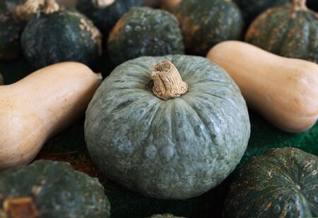 Assortment of pumpkins on a farm marketの写真素材