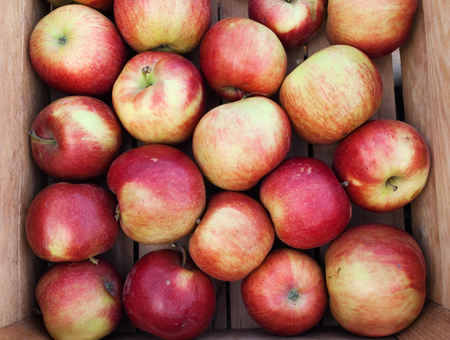 Red apples in wooden box at local farmers marketの写真素材