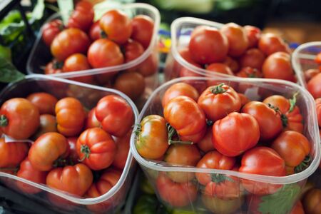 Tomatoes in plastic containers in the marketの写真素材
