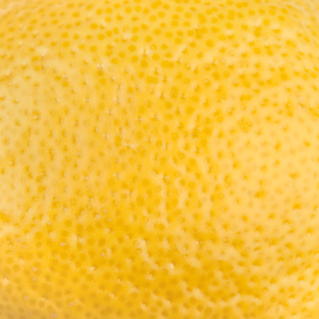 lemon peel texture macroの写真素材