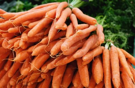 fresh carrots bunch piled high close upの写真素材