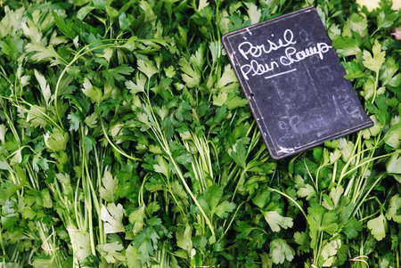 fresh bunch of leaf parsley at the farmer's marketの写真素材