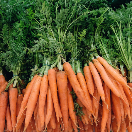 carrot with green leaves top viewの写真素材
