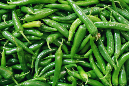green chillies pepper backgroundの写真素材