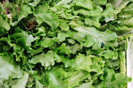 fresh green salad close up background