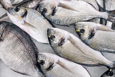 fresh fish dorado with ice on marketの写真素材
