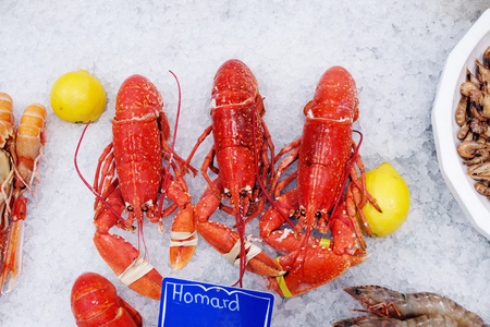 red lobster and shrimps on iceの写真素材