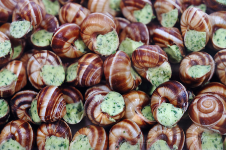 prepared snails with garlic parsley butter or cream for french specialty recipe escargots de bourgogneの写真素材