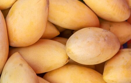 yellow mango fruits top view