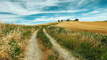 Tuscany landscape, rural road yellow and greenfield, Italy Europe