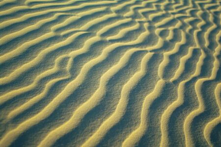 Sand textureの写真素材