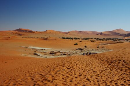 Red dunes of Namibのeditorial素材