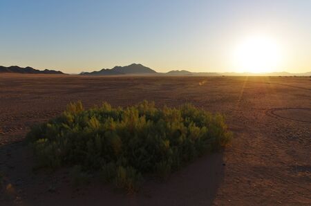 Namib desertの写真素材