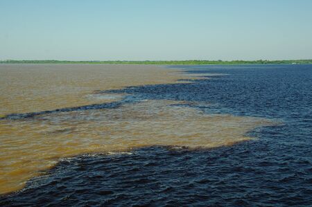 The dark water of Rio Negro and the muddy water of Rio Solimoes don't mix because of the temperature differenceの写真素材
