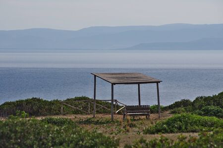 Canopy on the top of San Domino, in the Tremiti Islands, looking towards Italy's coastline.の写真素材