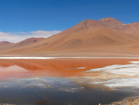 Laguna Colorada, Coloured Lagoon, takes it's colour from algae and it's populated by thousands of flamingos. Andean altiplano of Bolivia, South Americaの写真素材