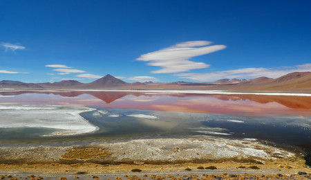 Laguna Colorada, Coloured Lagoon, takes it's colour from algae and it's populated by thousands of flamingos. Andean altiplano of Bolivia, South Americaの写真素材