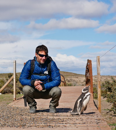 Tourist walking among Magellanic penguins in the natural reserve of Punta Tombo, Patagonia Argentinaのeditorial素材