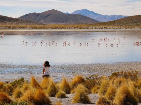 Andean altiplano of Bolivia, South America. Siloli desert is a plateau at 4500m on the sea level. Young female european touristの写真素材