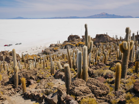 The incredible salt flat of Salar de Uyuni, on the andean altiplano of Bolivia, South America, seen from the Isla Incahuasi, an island emerging from the saltの写真素材
