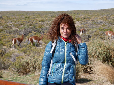 Young tourist near a group of Guanacos on a hill in the inland of Peninsula Valdez, Patagonia Argentinaのeditorial素材