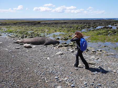 Young woman walking on the rocky coast of Punta Ninfas, home of a small colony of sea elephants. Patagonia argentinaのeditorial素材