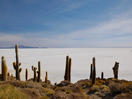 The incredible salt flat of Salar de Uyuni, on the andean altiplano of Bolivia, South America, seen from the Isla Incahuasi, an island emerging from the saltの写真素材