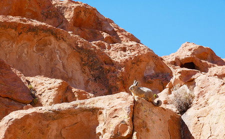 Amazing rock formations on the Andean altiplano of Bolivia, South Americaの写真素材