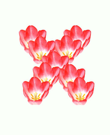 Text blue collection isolated on white background  made of tulip