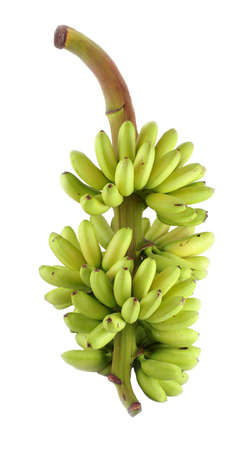bunch of bananas isolated on white back ground with clipping pathの写真素材