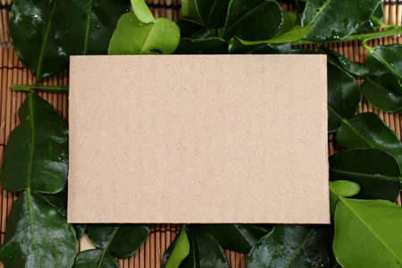 empty recipe brown paper texture  with variety fresh haelthy herbsの写真素材