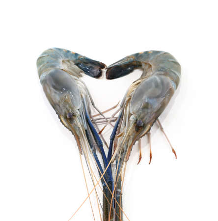 seafood fresh shrimp isolated on whiteの写真素材