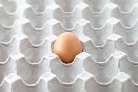 background of fresh eggs for sale