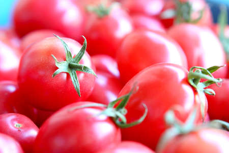 fresh delicious tomatoの写真素材