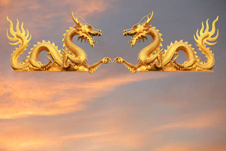 GoldenDragon couple on the skyの写真素材