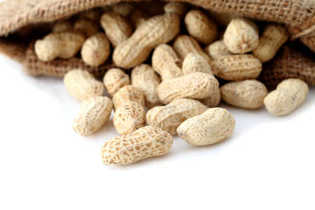 peanuts in a miniature burlap bag isolated on white 