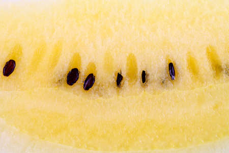 yellow watermel の写真素材