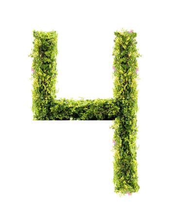Number 4 green leaves on white backgroundの写真素材