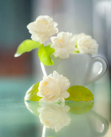 Jasmine flower on a cupの写真素材