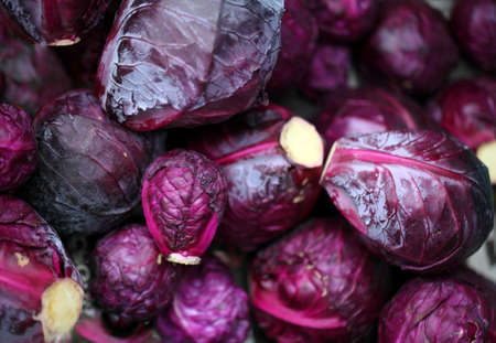purple cabbage in market place の写真素材