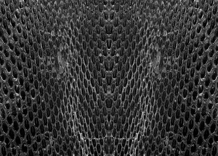 Black and white snake skinの写真素材