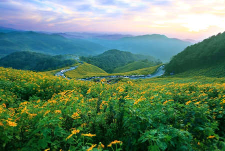 Billowing mist flowing through the blue ridge mountains.の写真素材