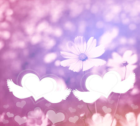 Pink flowers and heart in soft color style for romantic background.