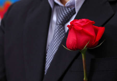 Red rose in suit.