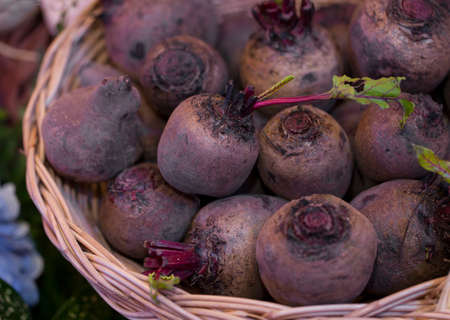 Farm Fresh Beets in a basket.